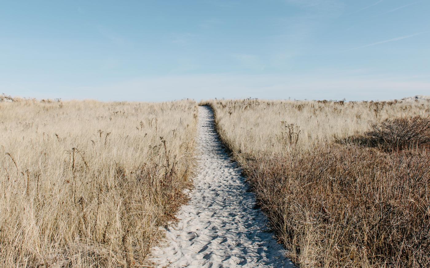 Image of a walking path in the middle of a field 